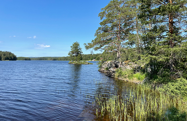 Lake Rinnen View the Beauty 734x475 hb Web